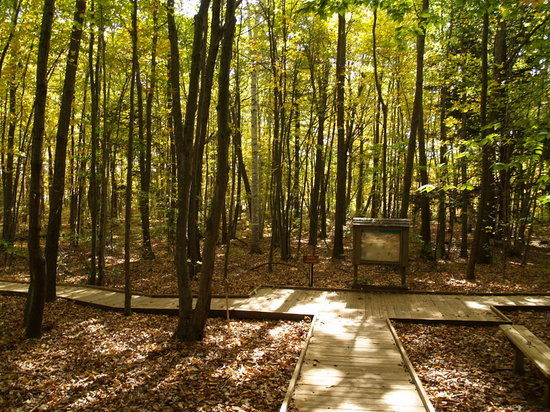 Seabrook's Science & Nature Center